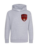 BLAZE AWD COLLEGE HOODIE GRAY