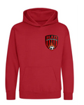BLAZE AWD COLLEGE HOODIE RED